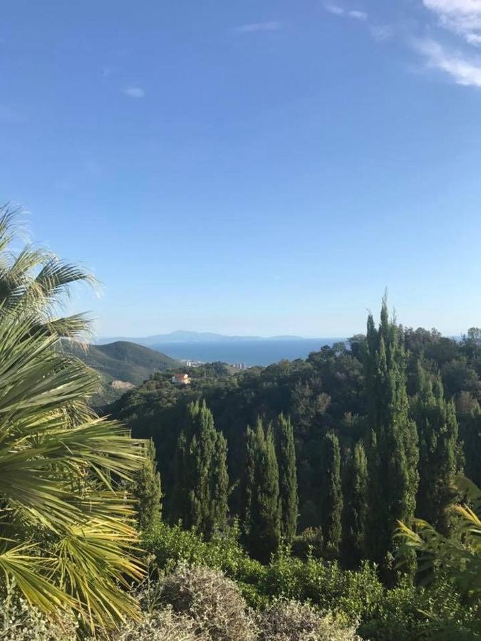 萨莱诺La Riggiola住宿加早餐旅馆 外观 照片