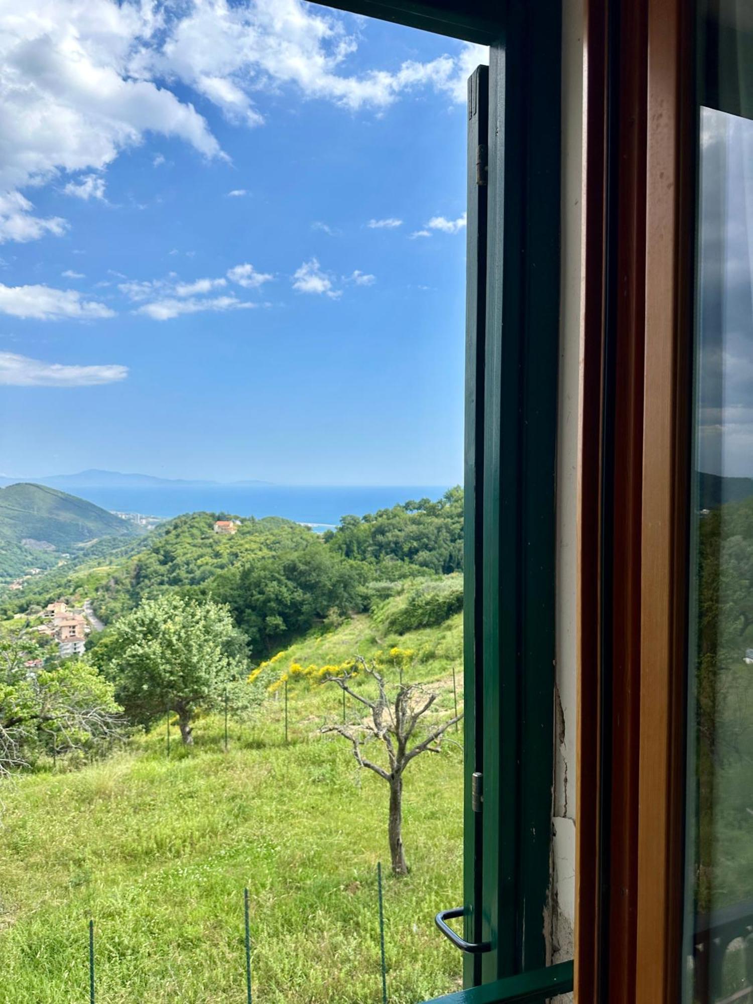 萨莱诺La Riggiola住宿加早餐旅馆 外观 照片